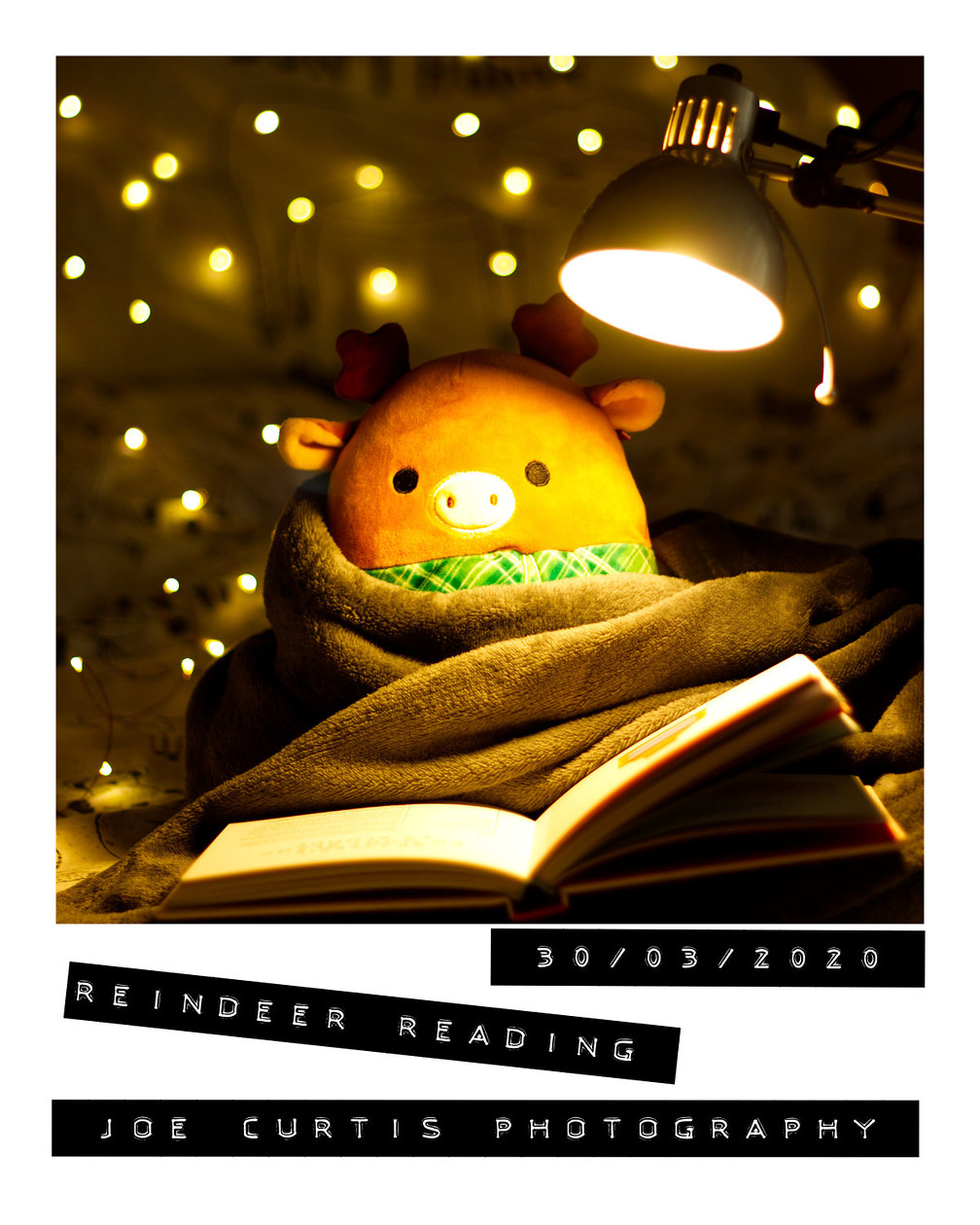 Artistic 0003 Reindeer Reading