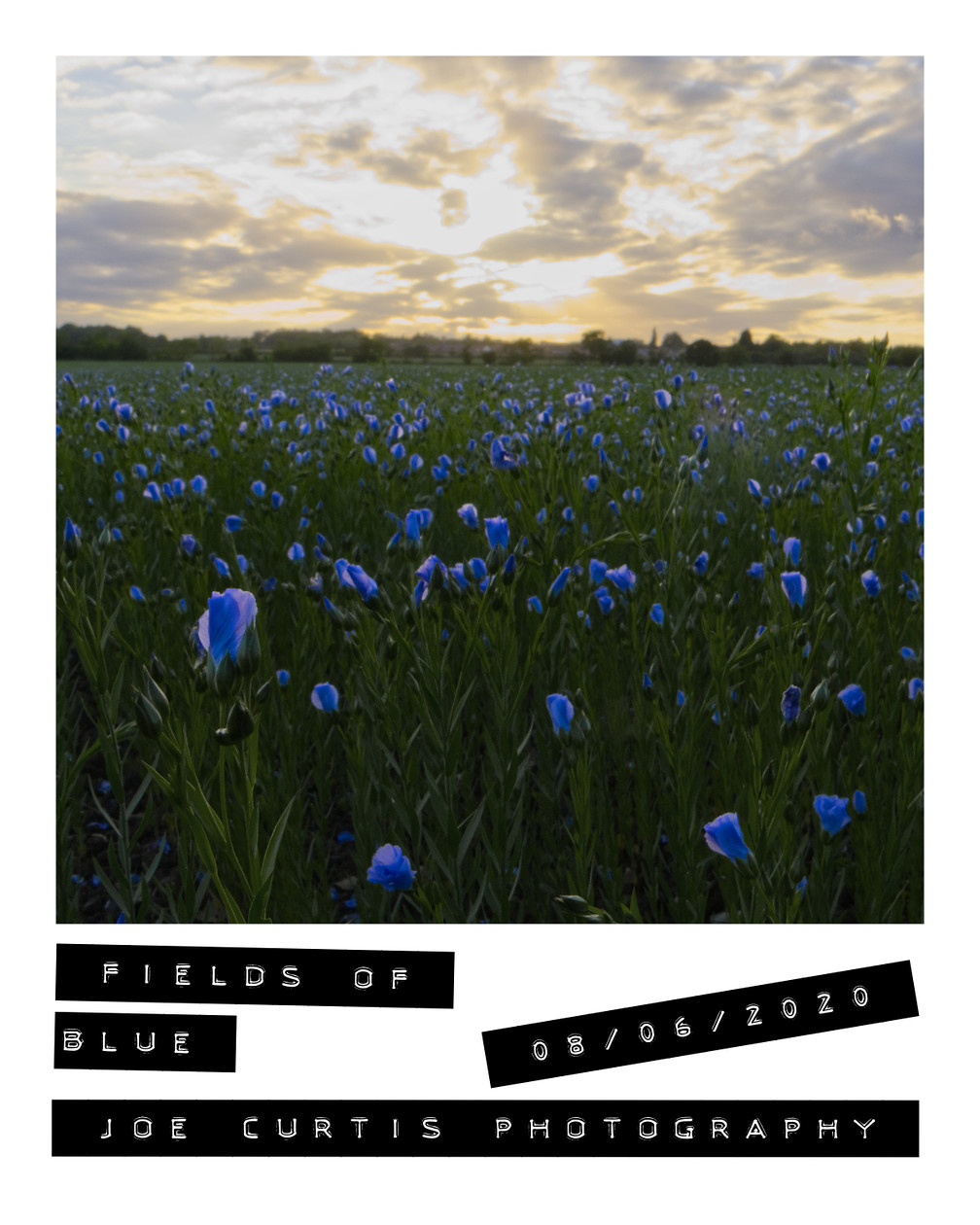 0004 Fields Of Blue